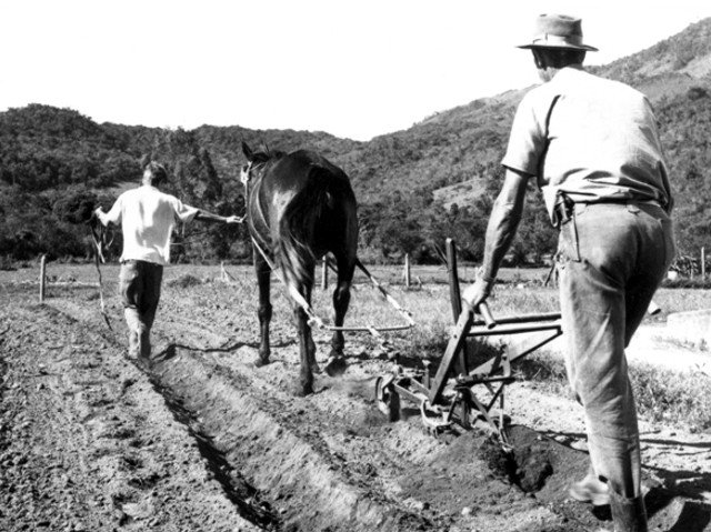 Agricultura tradicional